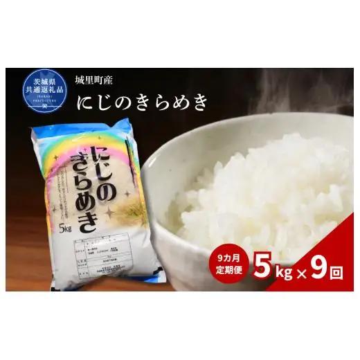 【9カ月定期便】にじのきらめき 5kg（茨城県共通返礼品・城里町産） / 米 こめ コメ お米 おこめ にじのきらめき 白米 精米 ごはん ご飯 令和7年産 5kg 定期便 茨城県 城里町 利根町