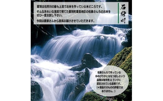 令和7年度産 ななつぼし 10kg 米 精米 白米 【2025年10月下旬~2026年3月下旬発送予定】 011-0025