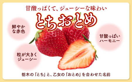 栃木県産 こだわり とちおとめ【300g以上×2パック】 | いちご ※2026年11月～発送