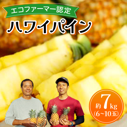 《2026年先行予約》ハワイパイン約7kg 【お届け：2026年6月中旬～7月下旬】【農園ファイミール 完熟 果物 フルーツ パイン パイナップル】