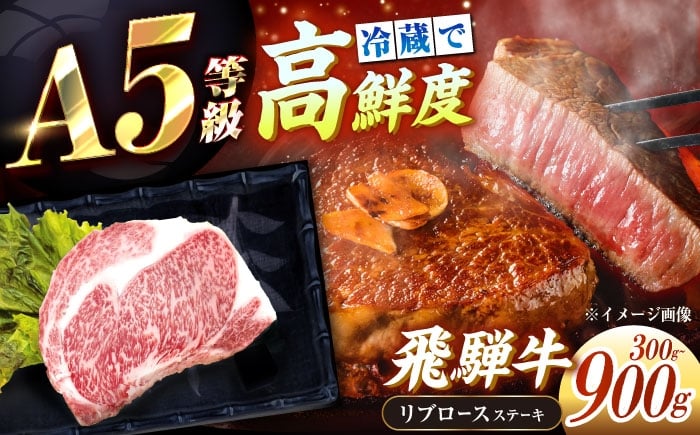 
            【先行予約】【2026年1月より順次発送】【選べる容量】【チルド（冷蔵）発送！】 牛肉 「飛騨牛」 A5等級 リブロース ステーキ用 300g×1枚～3枚 / 肉 お肉 にく牛肉 飛騨牛 和牛 国産和牛 ブランド牛 お取り寄せ 価格 ステーキ 焼肉 おすすめ 人気 贈答用 ギフト プレゼント 高級 焼肉 鉄板焼き 網焼き BBQ バーベキュー / 恵那市 / 東美濃農業協同組合 [AUFX020]
          