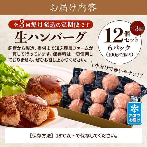 【毎月定期便】生ハンバーグ12個セット 全3回【配送不可地域：離島】【4006285】