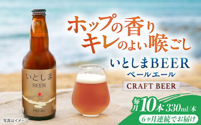 
                  【全6回定期便】いとしまBEER (ペールエール) 330ml×10本 糸島市 / 蔵屋 クラフトビール [AUA057]
                
