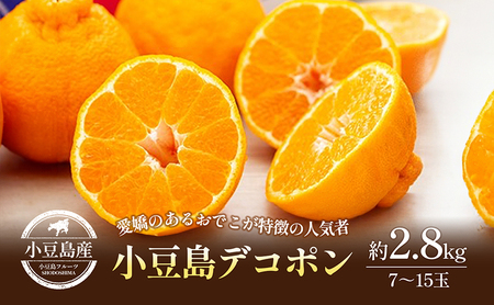 デコポン 小豆島デコポン 不知火 柑橘 フルーツ デコポン【約2.8kg】