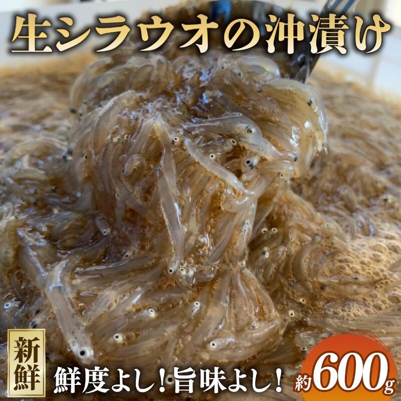 【ふるさと納税】 生シラウオ 沖漬け 600g (100g×6P) 1パック2人前 白魚 シラウオ 沖漬け 小魚 醤油 タレ 無添加 魚介 海の幸 海 魚 プレゼント 贈答 お祝い 送料無料 ふるさと納税 飯岡ヤマイチ水産-大納屋- 千葉県 旭市