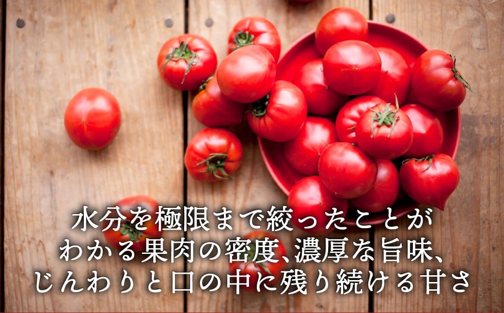 たかしまフルーティトマト 糖度10度以上 ！「ハートの女王」1kg箱 ×1