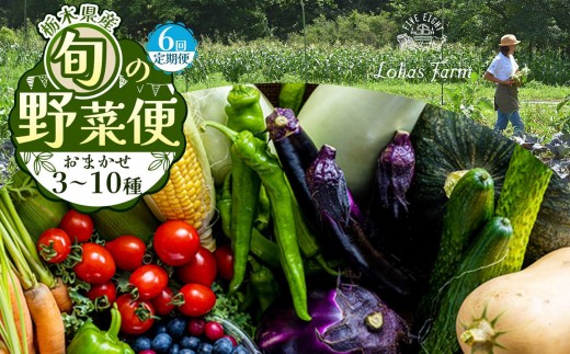 【定期便6回】【先行予約】栃木県産 旬の野菜 (果物) 便 3～10種 × 6回