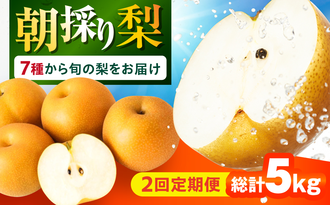 【2回定期便】朝採り旬の梨 約2.5kg（6玉）/回 計5kg 大村市 産直松吉/梨 なし 定期便 梨 幸水 豊水 秋麗 あきづき 新高 20世紀 二十世紀 かんた [ACZC012]