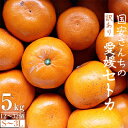 【ふるさと納税】国安さんちの 愛媛 セトカ 5kg 【 訳あり 】【C20-14】_ せとか ミカン みかん 蜜柑 柑橘類 柑橘 フルーツ 果物 くだもの 訳アリ わけあり 人気 美味しい 愛媛県 八幡浜市 ふるさと 【1094586】