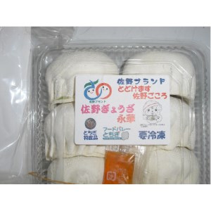 佐野餃子(大)10個2人前×2パックと濃縮佐野ラーメン6人前【配送不可地域：離島・沖縄県】【1061579】