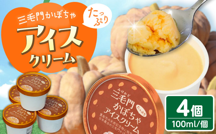 三毛門かぼちゃアイスクリーム《豊前》 【三毛門南瓜保存会】アイス　アイスクリーム　あいす　かぼちゃ　南瓜　三毛門かぼちゃ　三毛門南瓜 [VDF003]
