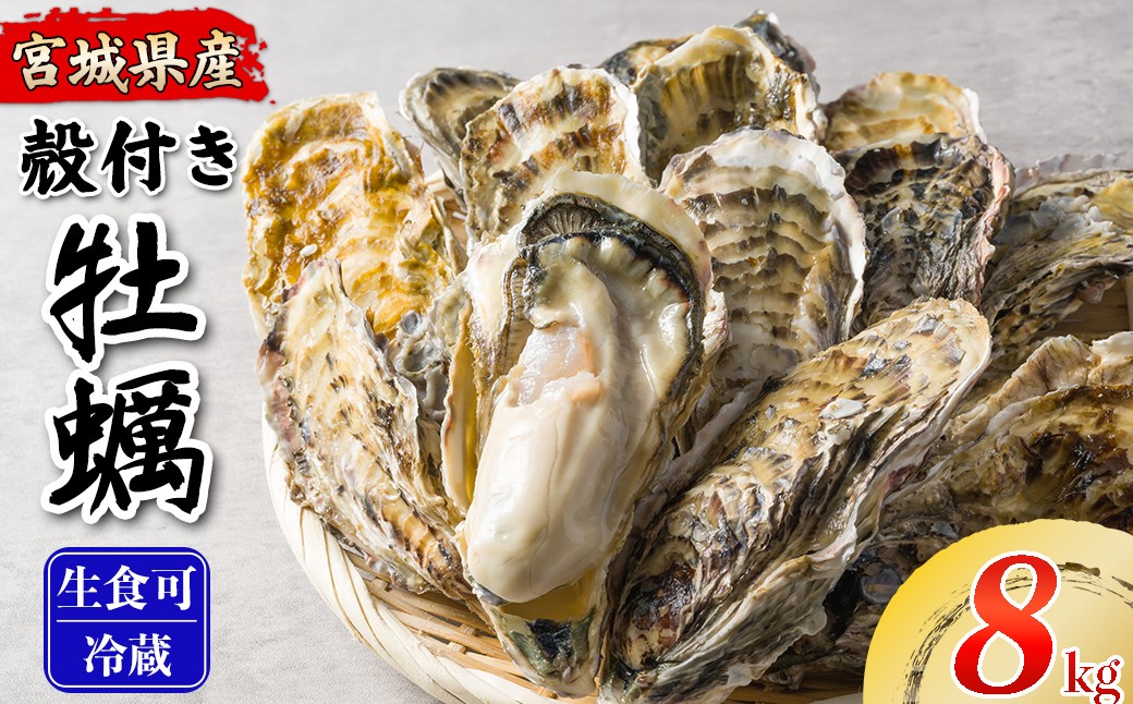 
                  松島牡蠣屋 殻付き牡蠣（生食用） 8kg  生牡蠣 宮城県産 牡蛎 牡蠣 カキ オイスター カキフライ 牡蠣鍋 海鮮 国産 魚貝類 【菊地水産合同会社】tm747
                