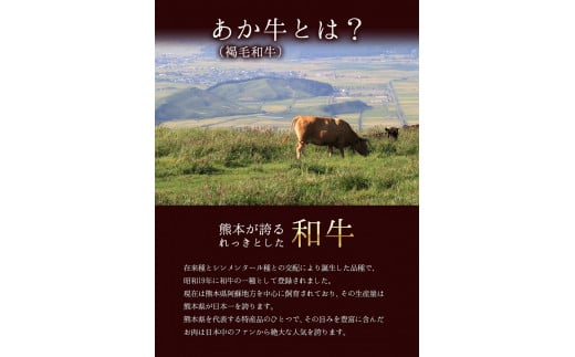 あか牛（褐毛和牛） サーロイン ステーキ 500g 《2026年1月中旬-3月末頃出荷》 牛肉 冷凍---hkw_faksir_bc13_r7_19000_500g---