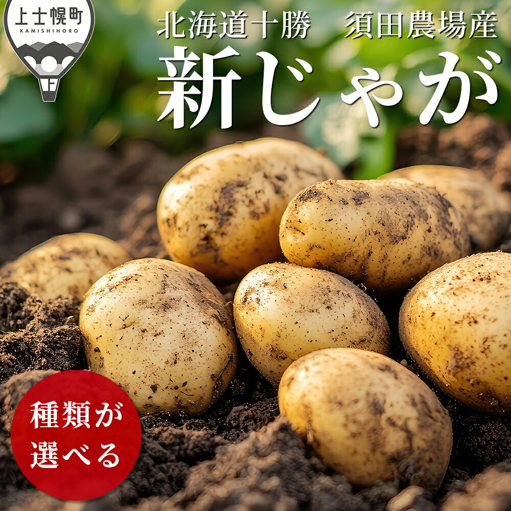 【ふるさと納税】北海道産 新じゃが 5kg 種類が選べる 男爵 きたひめ ホッカイコガネ 北海道 上士幌町 須田農場 野菜 じゃがいも ジャガイモ 北海こがね 馬鈴薯 産地直送 レビューキャンペーン対象品 ※オンライン申請対応