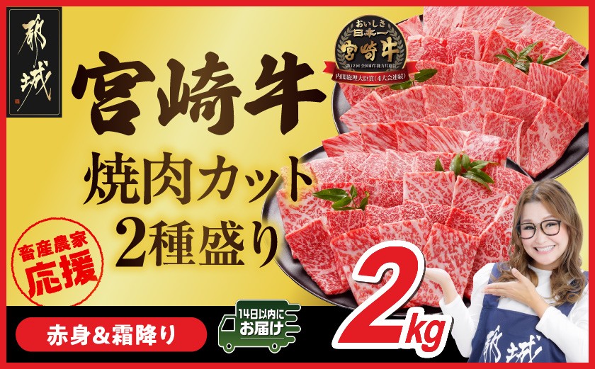 
                  畜産農家応援! 宮崎牛焼肉2種セット500g×4パック≪みやこんじょ快速便≫_AF-N2-002-2000-R_(都城市)  赤身 霜降り 食べ比べ 肩ロース又はロース ウデ モモ 焼き肉 牛肉 とろける BBQ 焼肉 ギャル曽根さんおすすめの牛肉返礼品 快速便
                