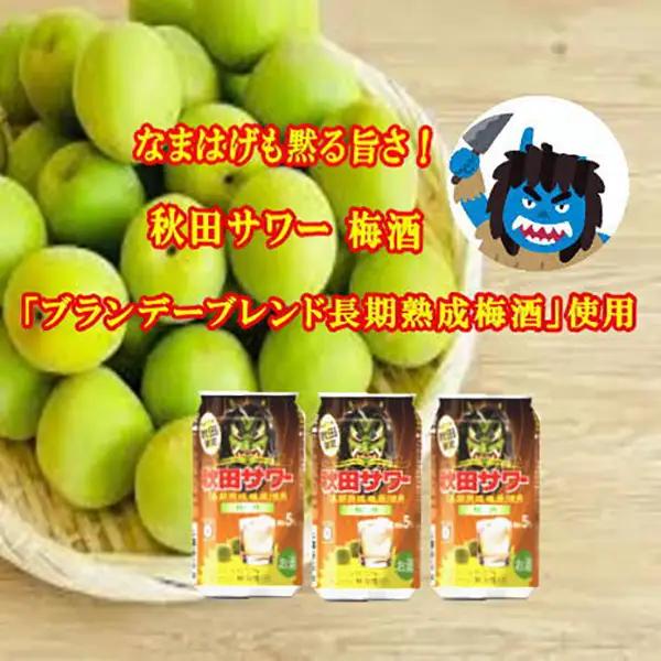 梅酒 秋田サワー12本入り 梅酒 [B5210]