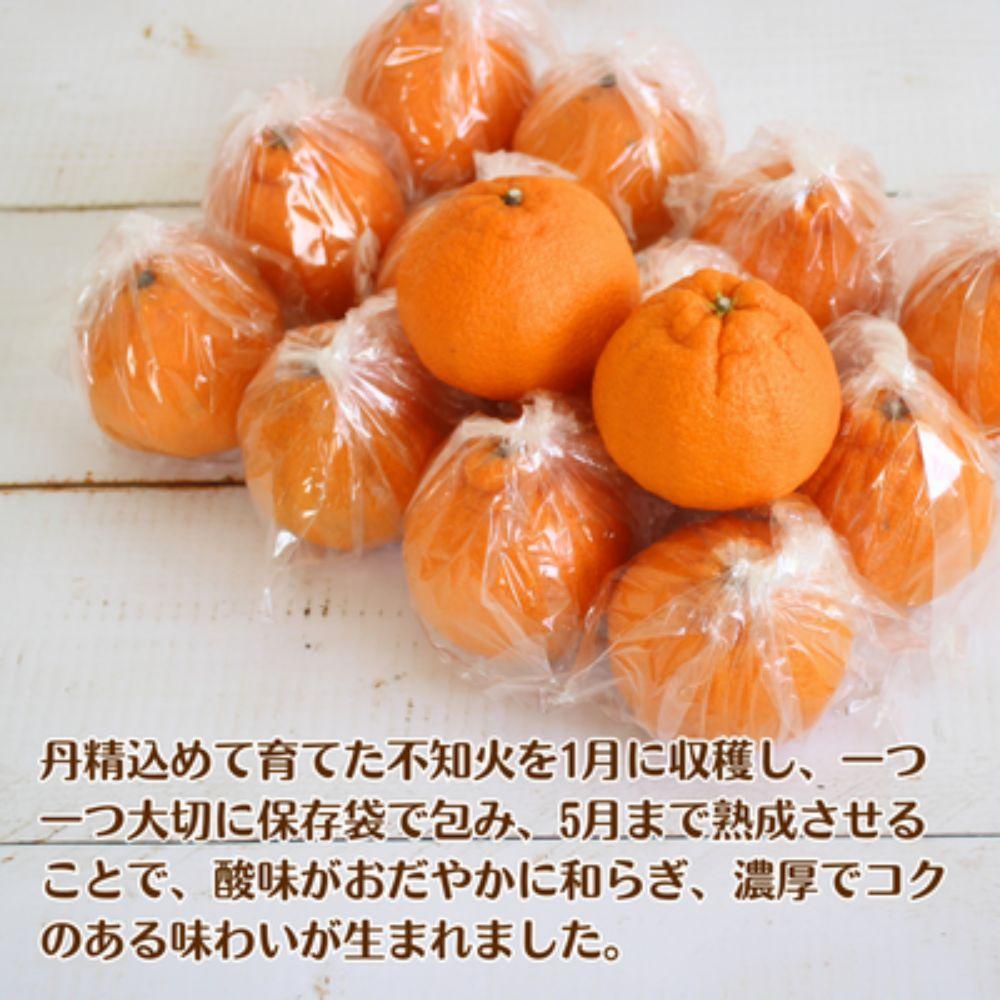 長期熟成しらぬい 約5kg 濃厚なコクと甘さ 農家直送 和歌山県産 【2027年5月～6月発送】