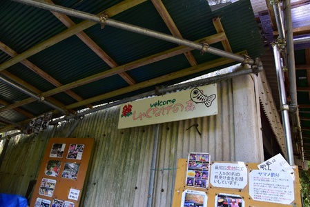 黄金イクラと渓流の女王ヤマメ逸品セットB(6種)黄金イクラやヤマメなどを詰め合せ！