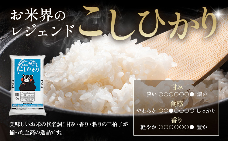 【隔月6回定期便】令和7年産 米 無洗米 ひのひかりこしひかり 食べ比べ 10kg《お申込み翌月から出荷》 白米 精米 無洗米 熊本県産(南阿蘇村産含む) 単一原料米 南阿蘇村 ひの こし 送料無料 