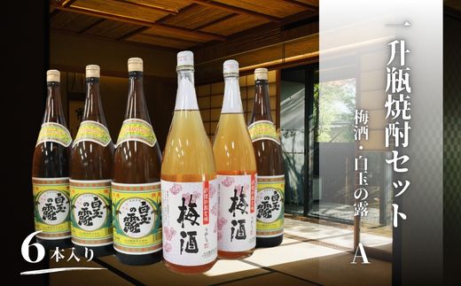 【ふるさと納税】No.4079-1　白玉の露・梅酒（一升瓶）6本セットA