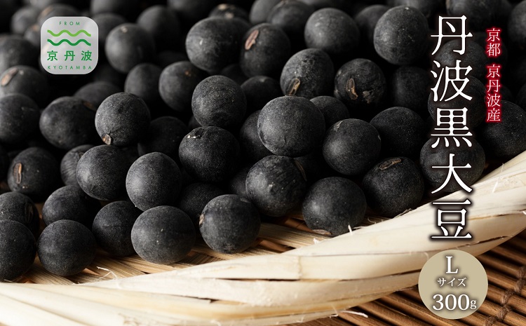 【 年内発送 】 丹波黒大豆 Lサイズ 300g お正月 おせち用 京都 京丹波町産 丹波黒豆 新豆 国産 お取り寄せ ご当地グルメ 生産者限定 令和7年産 L 生豆 大粒 ※北海道・沖縄・その他離島は配送不可