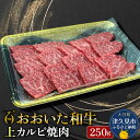 【ふるさと納税】おおいた和牛 上カルビ 250g 牛肉 和牛 ブランド牛 赤身肉 焼き肉 焼肉 バーベキュー 大分県産 九州産 津久見市 国産 送料無料