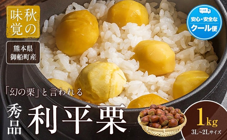 
            利平栗 熊本県御船町産限定 約1kg(3L-2Lサイズ)《9月上旬-10月上旬出荷》送料無料 期間限定 野菜 予約 スイーツ きんとん 甘露煮 渋皮煮 栗ご飯 熊本県御船町
          