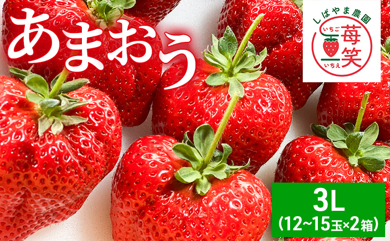 いちご 朝倉市産 あまおう 3L 12～15玉×2箱 イチゴ 苺 果物 デザート ※配送不可：離島