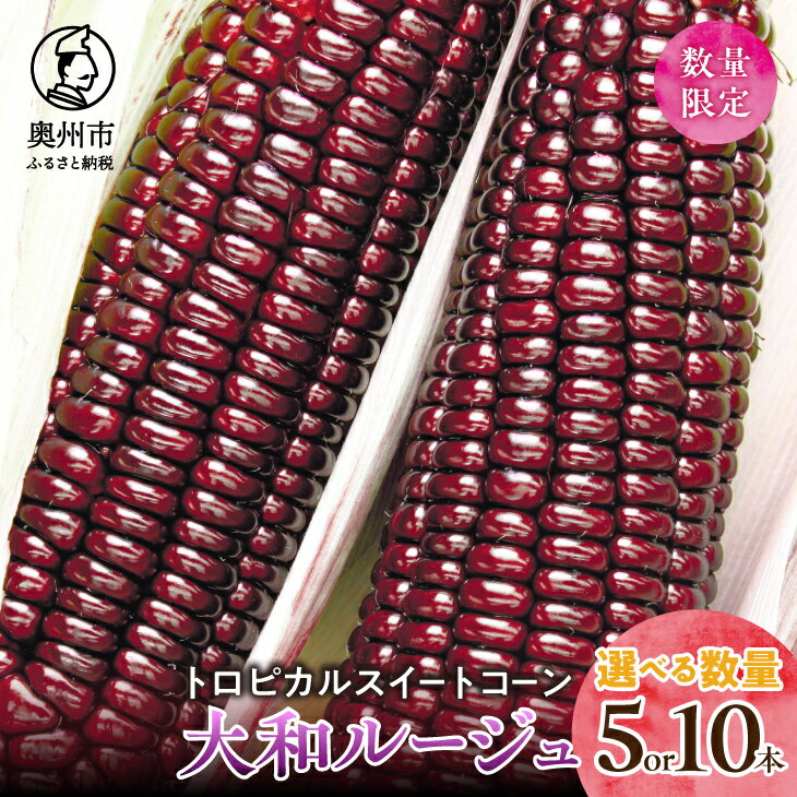 【ふるさと納税】 【先行予約】とうもろこし 大和ルージュ 5本/10本 【数量限定】 2026年9月上旬から出荷 離島配送不可 野菜 赤いとうもろこし モチっと食感 トロピカルスイートコーン 期間限定 [T0018]
