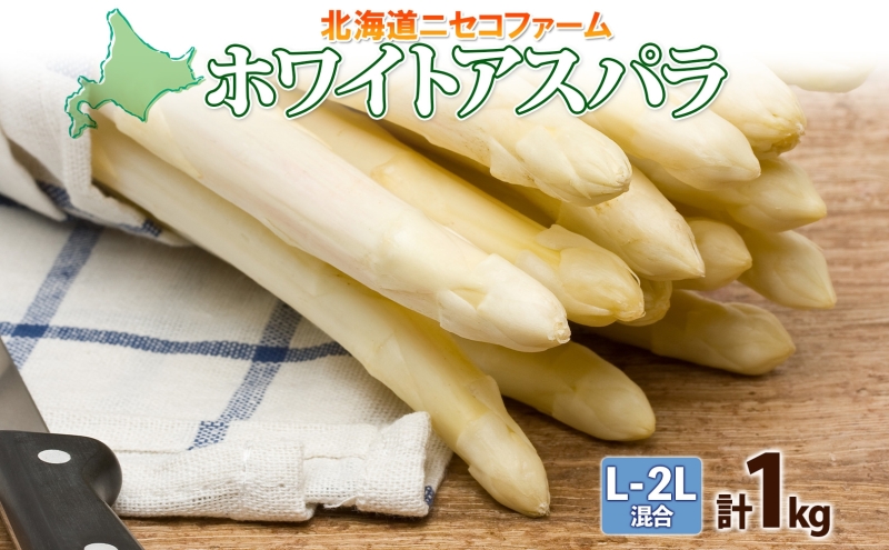 北海道産 アスパラガス ホワイト 約 1kg L - 2L サイズ 混合 アスパラ 旬 朝採り 新鮮 お取り寄せ 産地直送 産直 野菜 農作物 詰め合わせ 国産 北海道 倶知安町