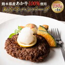 【ふるさと納税】あか牛ハンバーグ4個入り 150g×4個 《60日以内に出荷予定(土日祝を除く)》あか牛の館 熊本県南阿蘇村 ハンバーグ あか牛 熊本県産 600g 牛肉