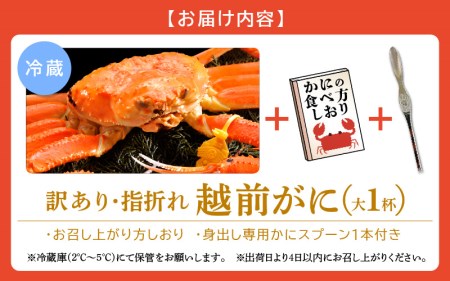 越前ガニ本場の越前町からお届け！越前ガニ浜茹で【訳あり】 越前ガニ（大 )×1杯 食べ方しおり かにスプーン付き 越前町の網元漁師厳選の越前ガニ【かに カニ 蟹】【3月発送分】 [e15-x005_0