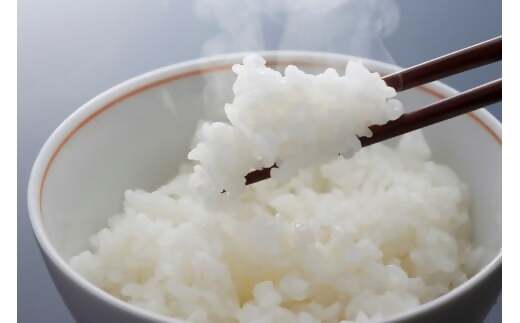 【令和7年産米】有機たい肥で育てた門外不出のコシヒカリ10ｋｇ 精米 白米 10kg 5kg 国産 ごはん 人気 おすすめ  三重県 多気町 NK-02