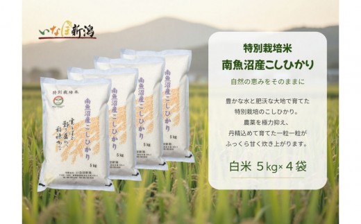 
                  【令和8年産新米予約】 南魚沼産コシヒカリ特別栽培米 白米 20kg(5kg×4)【2026年9月下旬より1ヶ月以内に順次発送予定】
                