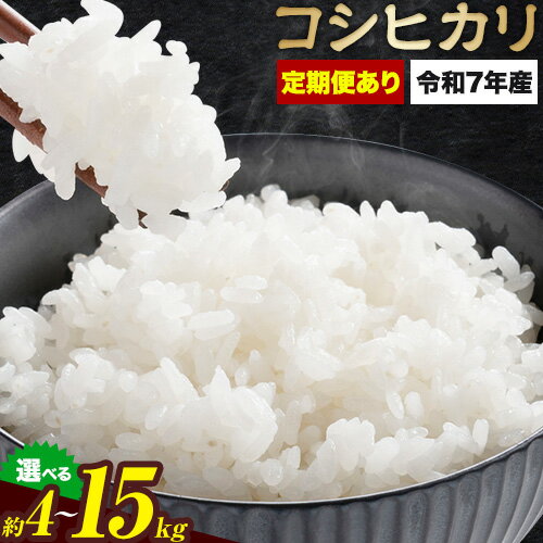 【ふるさと納税】＜令和7年米＞うぶやま高原米(コシヒカリ2kg×2袋・5kg×1袋・2kg×4袋・5kg×2袋・5kg×3袋) 池部農園《2025年9月末頃よリ順次出荷予定》米 こしひかり お米 コメ 白米