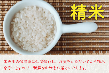 【6ヶ月連続お届け】福井県坂井市丸岡町産 コシヒカリ（精米）10kg×6回　計60kg  [H-11301_03]