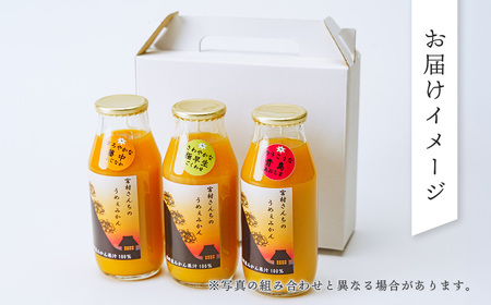 秦野産 みかん 100% ストレートジュース（3本）/ おまかせ 農家 こだわり セット 果物 みかん みかんジュース デザート 果汁100％ 搾りたて 新鮮 美味 おいしい ストレートジュース オレ