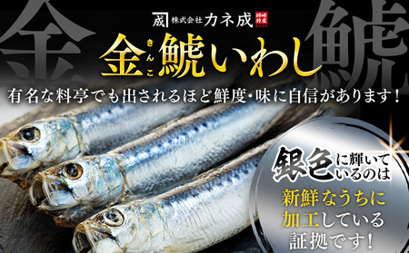 いわしの丸干し 24尾(8尾×3パック) 小分け イワシ