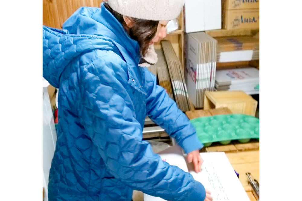 りんご 王林【訳あり】5kg しらかみラボ