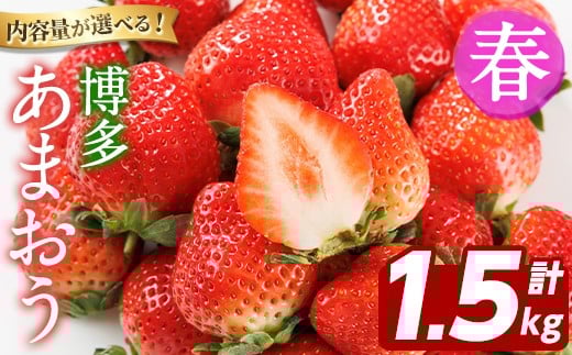 ＜2026年2月上旬以降順次発送予定＞博多 あまおう《春》 (計1.5kg・250g～270g×6パック) いちご イチゴ 苺 ストロベリー 果物 フルーツ おやつ デザート 冷蔵 アマオウ 旬 小分