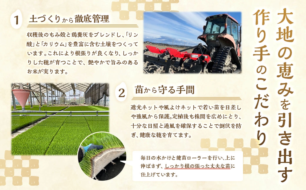静岡県産コシヒカリ精米5kg（5kg×1袋）
