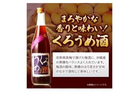 梅酒 くろうめ酒 720ml 酒のねごろっく 《90日以内に出荷予定(土日祝除く)》梅酒梅酒