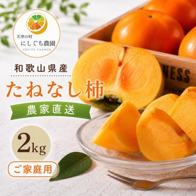 ふるさと納税 紀の川市 【2026年10月上旬以降発送】和歌山県産たねなし柿2kg(ご家庭用)