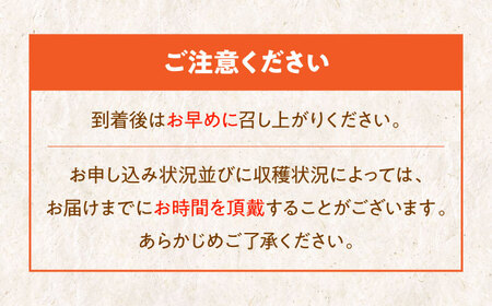【先行予約】【11月初旬より順次発送】愛媛県産 富有（ふゆう）柿 Mから2Lサイズ 約5kg 箱入（15から24玉） 愛媛県大洲市/沢井青果有限会社 [AGBN023]柿かき果物柿かき果物柿かき果物柿