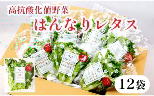 みらい乃野菜 はんなりレタス 12袋 720g