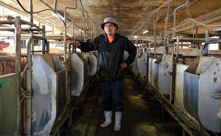 【高知県 大月町産ブランド豚】力豚しゃぶしゃぶ3kgセット