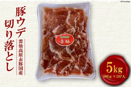 雲仙高原 赤豚 国産 豚ウデ 切り落とし 5kg 500g×10p [長崎県農産品流通 長崎県 雲仙市 item1583] 豚肉 肉 切落し