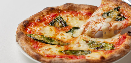 ミシュラン受賞 「 CRAZY PIZZA 」 人気 定番 メニュー ピザ 8種セット | Don Bravo ドンブラボー マルゲリータ マヨコーン しらすカラスミ マリナーラ クワトロフォルマッジ