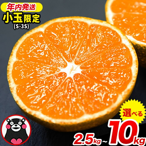 【ふるさと納税】先行予約 みかん 訳あり 小玉 くまもと小玉みかん 2.5kg (2.5kg×1箱) 5kg (2.5kg×2箱) 10kg (10kg×1箱) 5キロ ご家庭用 熊本県産 S-3Sサイズ フルーツ 旬 柑橘 長洲町 温州みかん 早生 中生 晩生 ジュース ゼリー 《2026年9月下旬-12月下旬頃出荷》