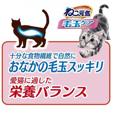 ふるさと納税 上里町 ねこ元気 毛玉ケア まぐろ チキン 緑黄色野菜入り 1.8kg×6袋 キャットフード 国産 |  | 01